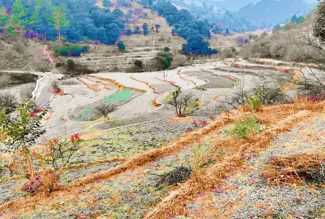 सूखे का असर - जल शक्ति विभाग के कर्मियों की छुट्टी पर प्रतिबंध