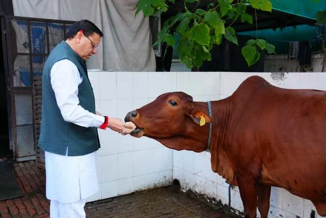 मुख्यमंत्री पुष्कर सिंह धामी ने गोवर्धन पूजा पर गौमाता की की पूजा-अर्चना