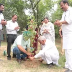 पंजाब में ‘मिशन हरियाली 2026’ की शुरुआत, पूरे राज्य में लगाए जाएंगे 9 लाख पौधे